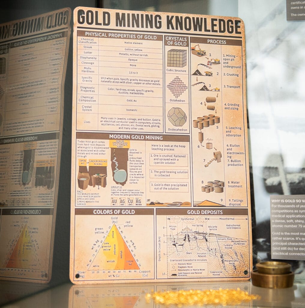 Belia Oh Photography 28816 e1767014850550