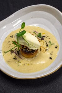 Brandon Erasmus The Vineyard Starter 1