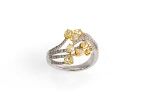 Photoshoot 2024 07 23 56